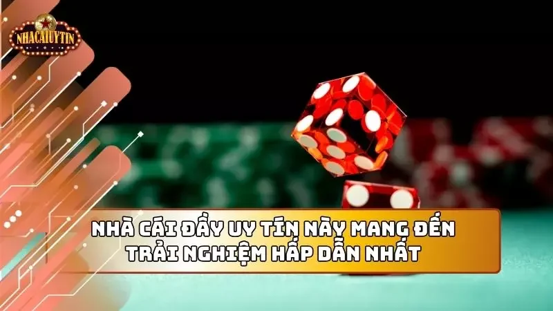 Nhà cái đầy uy tín này mang đến trải nghiệm hấp dẫn nhất