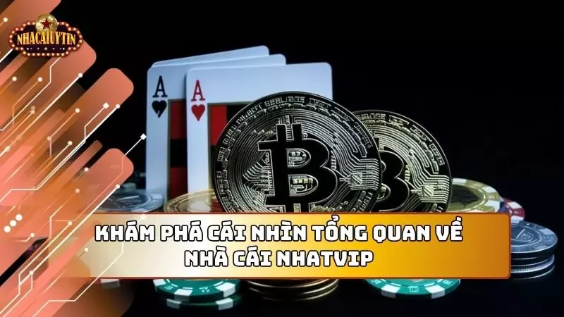 Sơ lược những thông tin cơ bản của nhà cái đầy uy tín