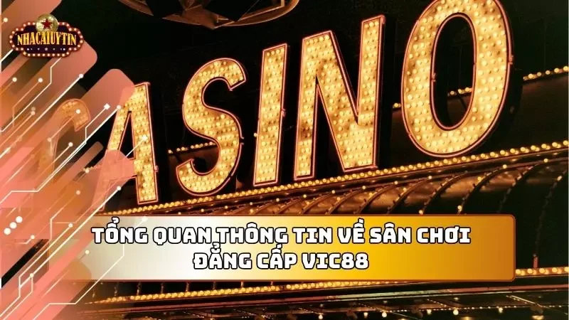 Những thông tin chưa chắc người chơi nào cũng đã biết